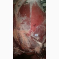 Мясо говядина HALAL в Туркменистане